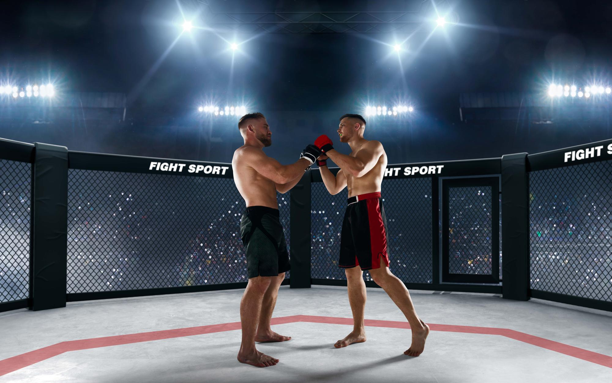 Betting on MMA Matches: Tips for New Punters